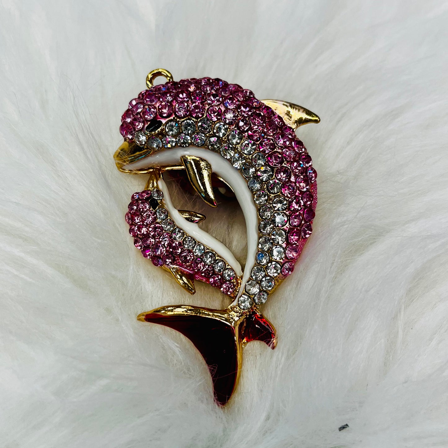 Extra Fancy (Large) - Animals