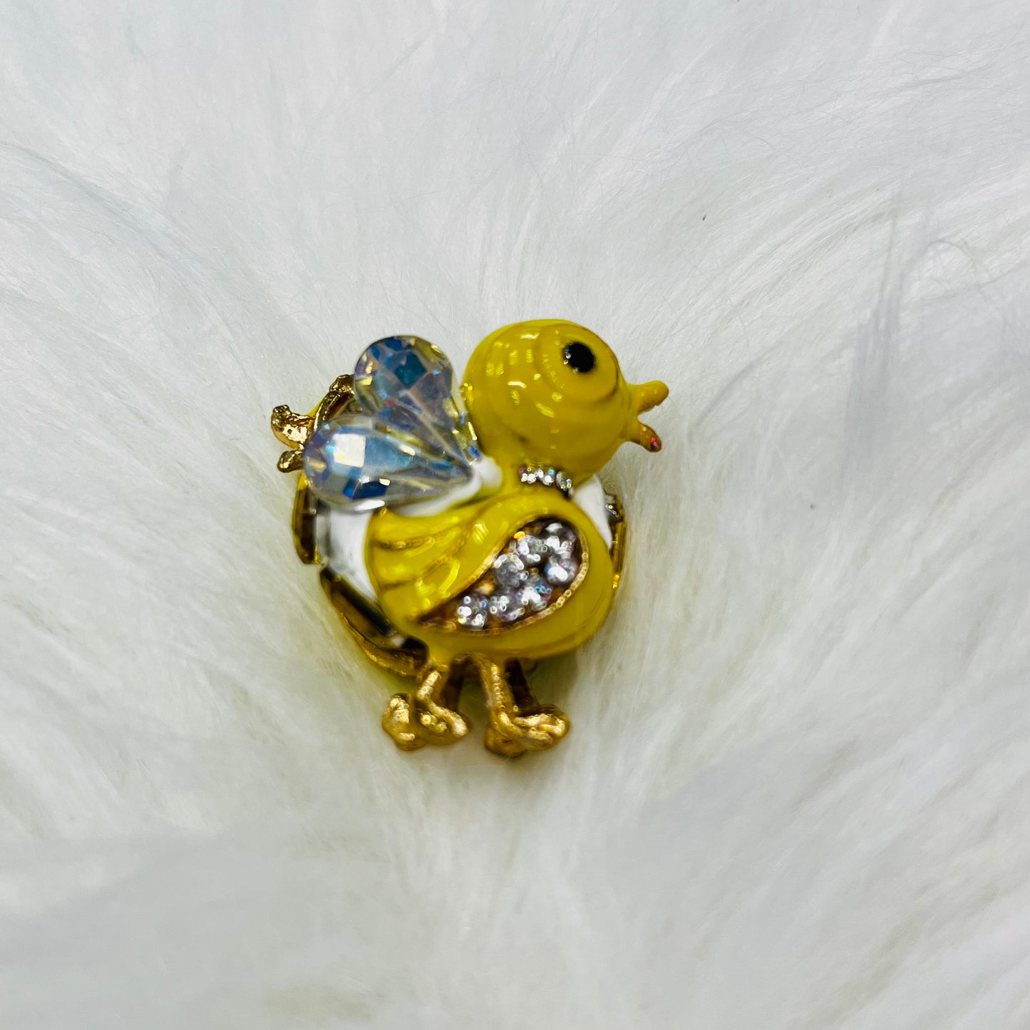 Extra Fancy (Large) - Animals