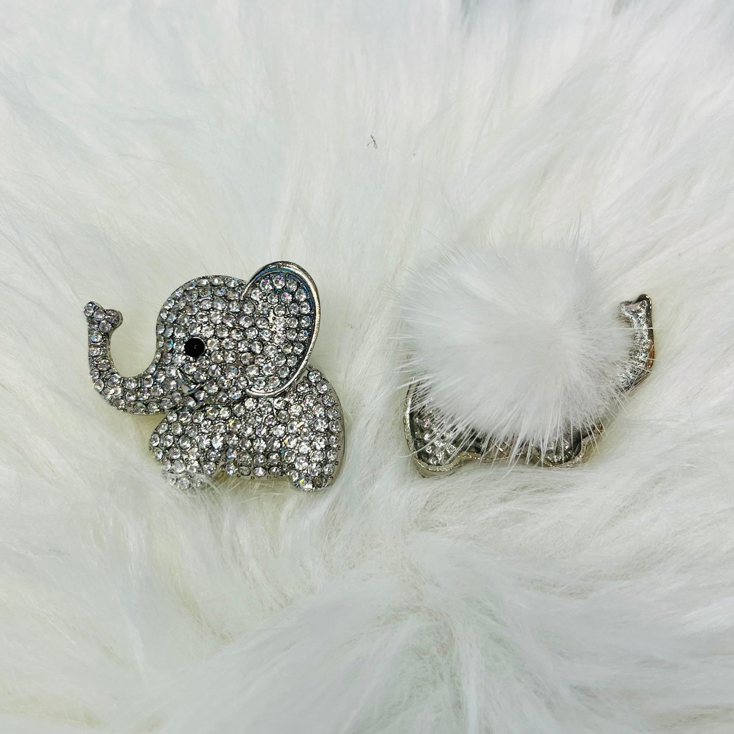 Extra Fancy (Large) - Animals