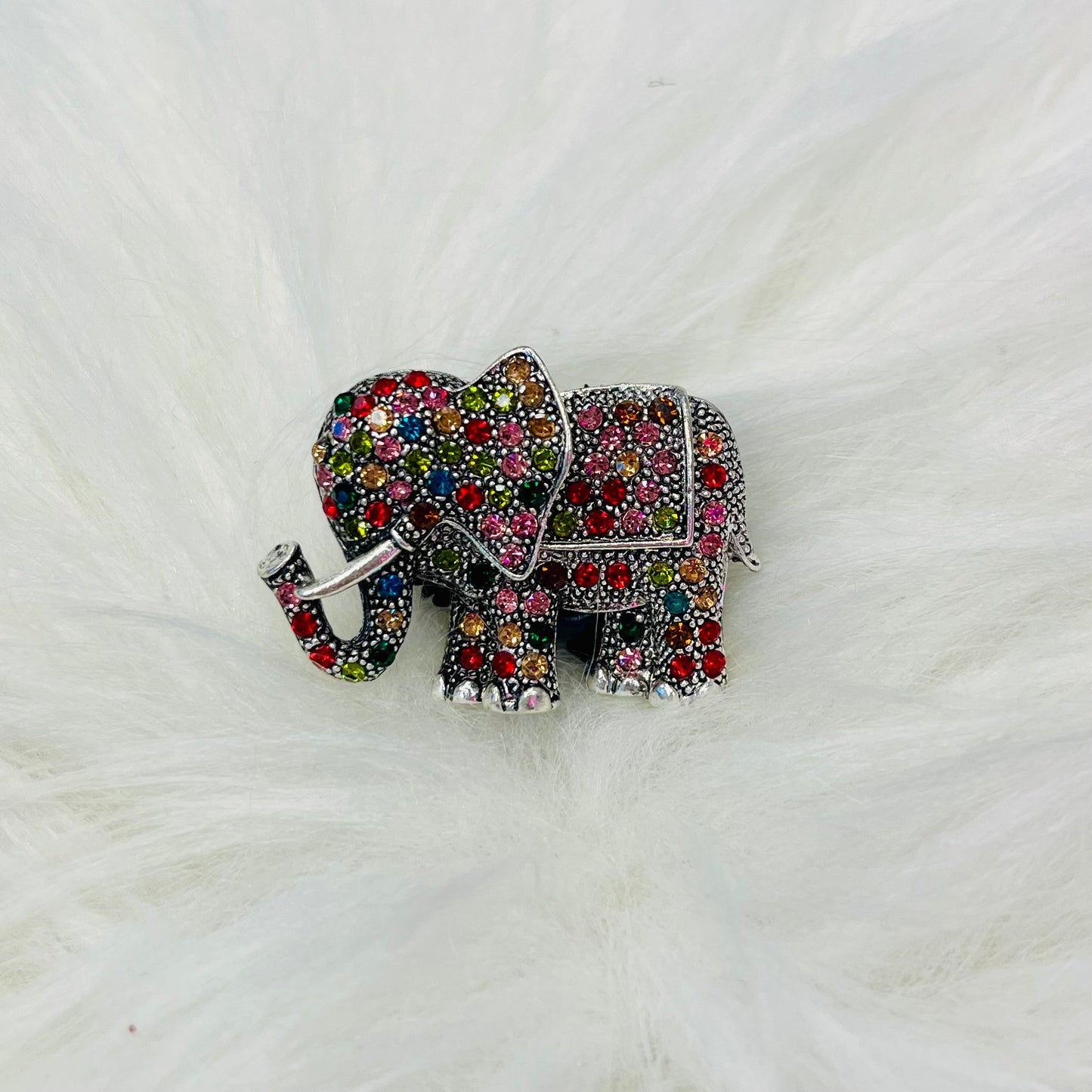 Extra Fancy (Large) - Animals