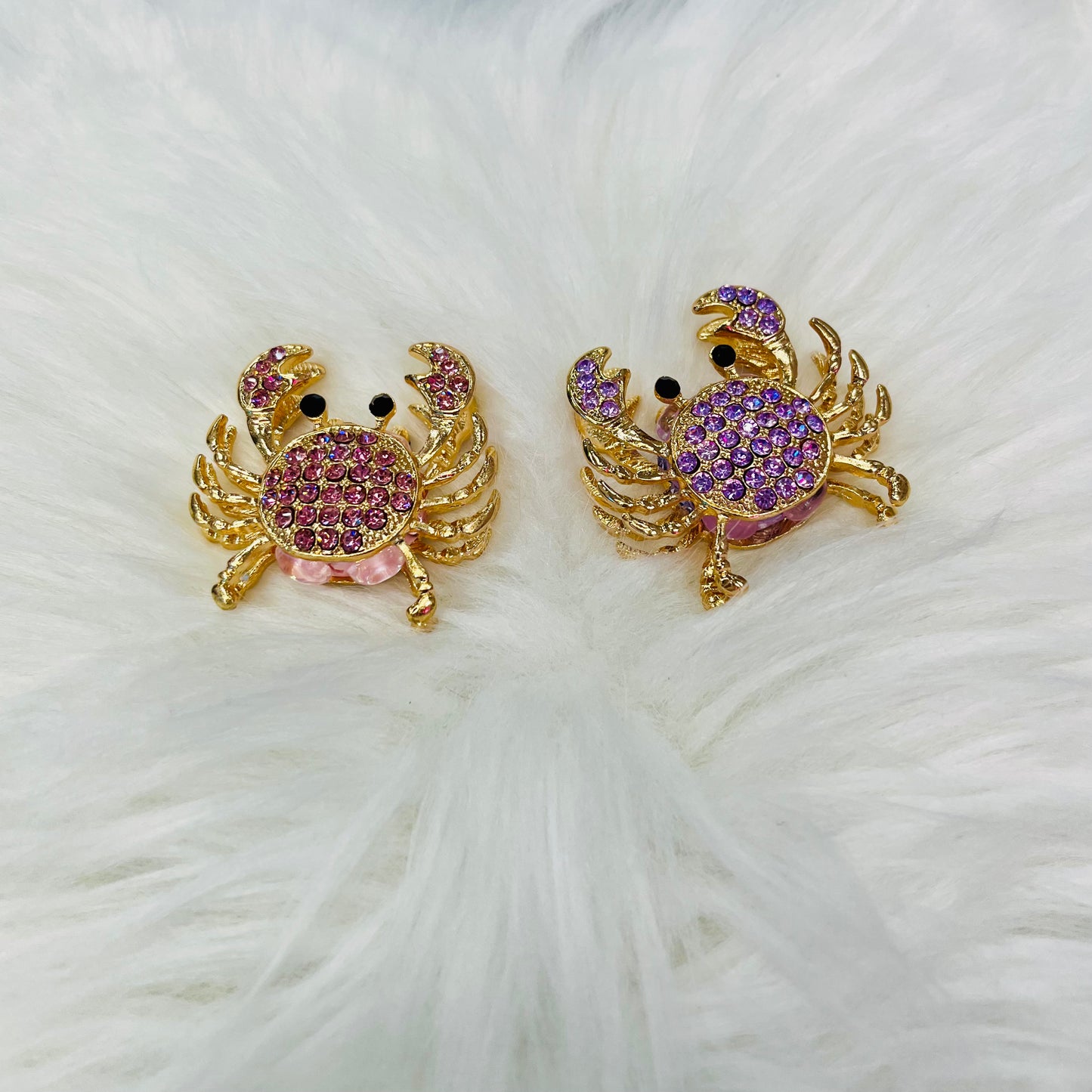 Extra Fancy (Large) - Animals