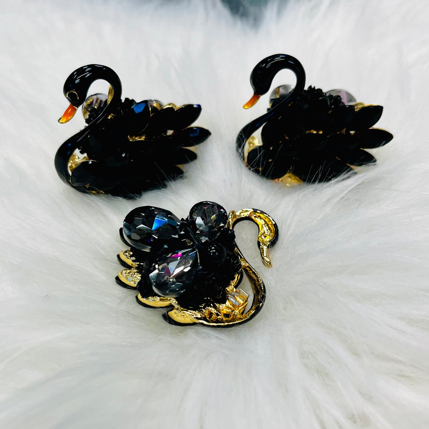 Extra Fancy (Large) - Animals