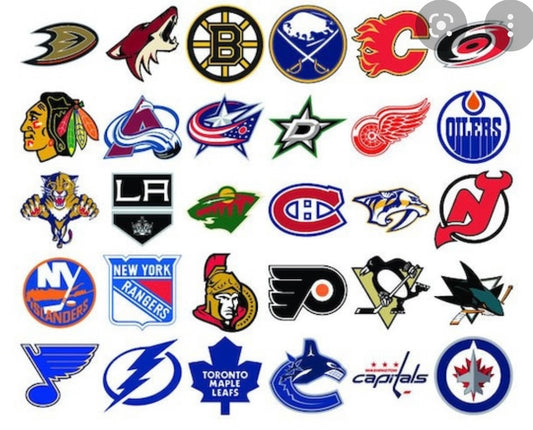 Sports Fan (Customize with YOUR Team)